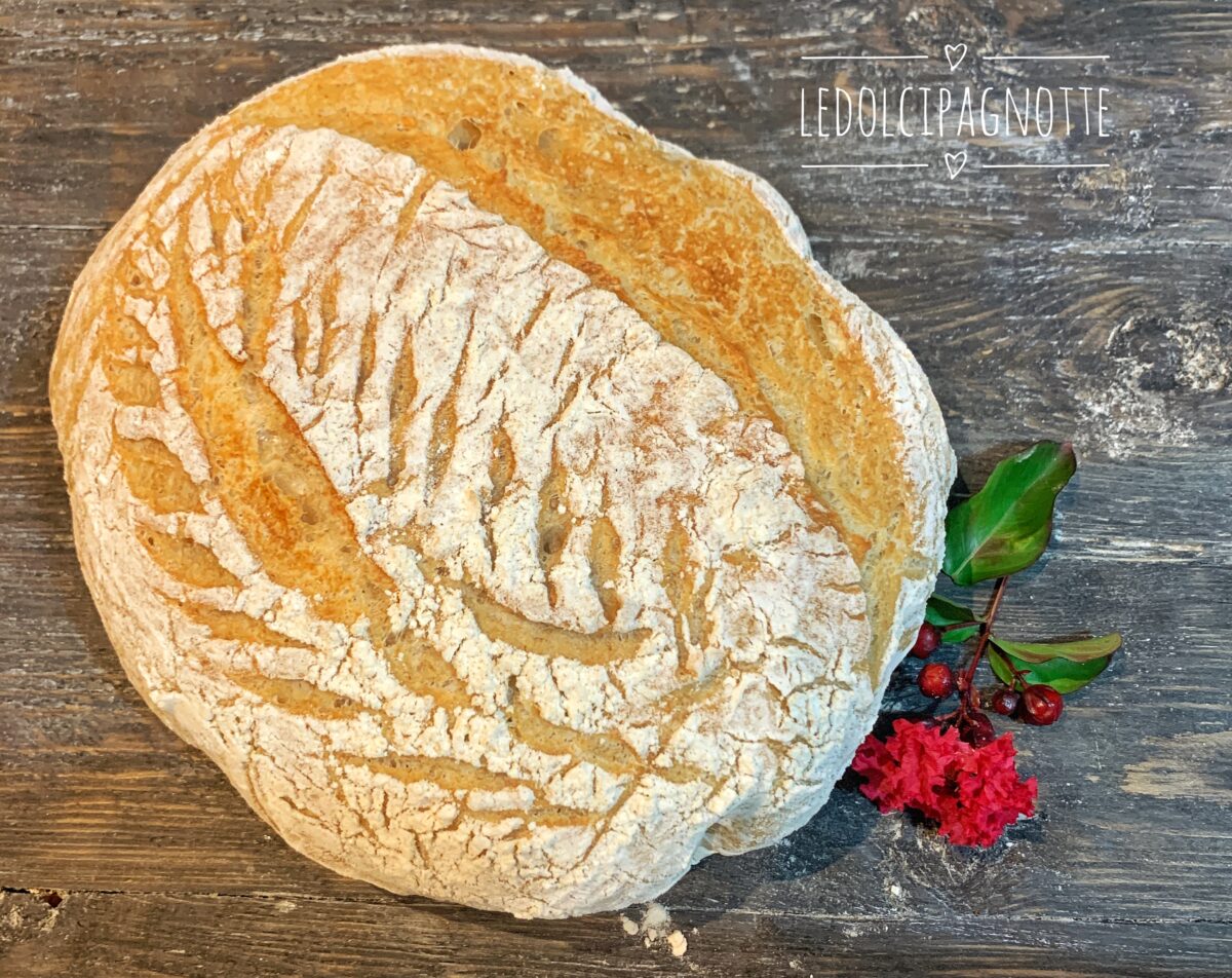 Pane con grano antico sardo