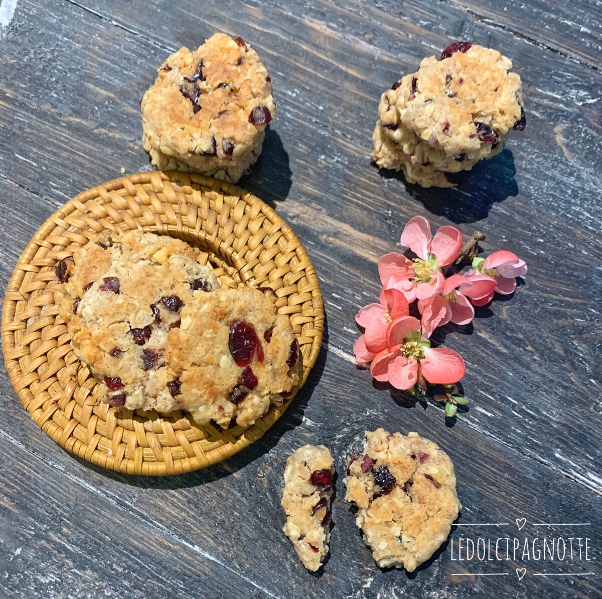 Biscotti  mirtilli e avena